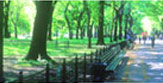 Kensington Boulevard Noida