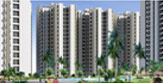 Kosmos Noida