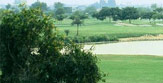 Town Homes Greater Noida