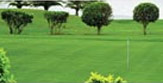 Jaypee Greens Kube Residential Noida